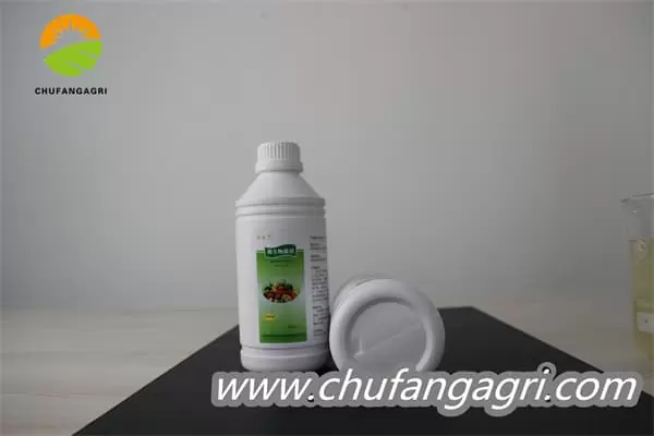 Bacillus amyloliticus(BAA)