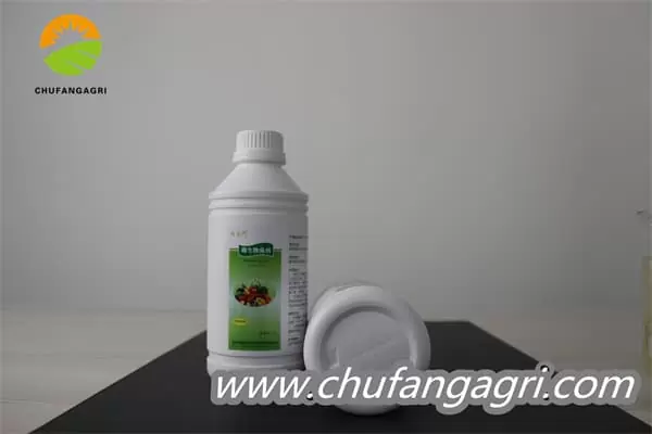 XMD Bacillus amyloliticus