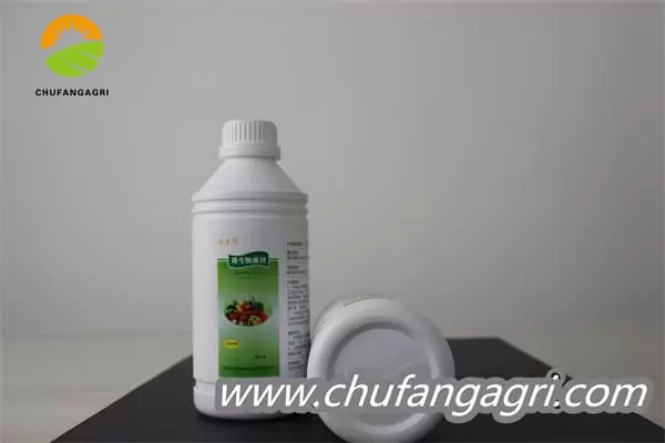 Bacillus amyloliquefaciens (TKJ)