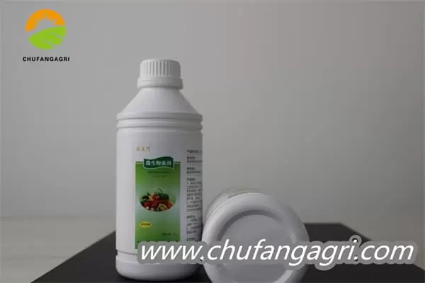 Chufangagri Bacillus amyloliticus(BAA)