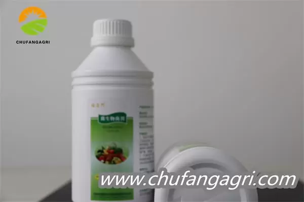 XMD Bacillus amyloliticus(BAA)