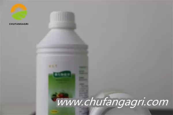 Bacillus amyloliquefaciens (TKJ)