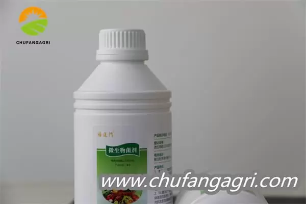 Chufangagri Bacillus amyloliticus(BAA)