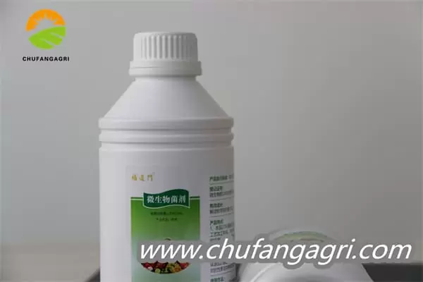 XMD Bacillus amyloliticus