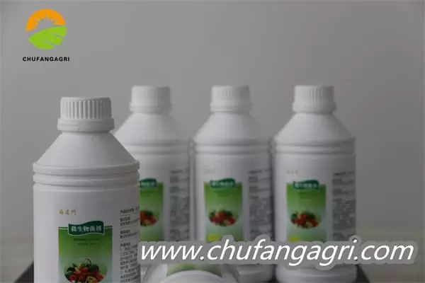 Chufangagri Bacillus amyloliticus(BAA)