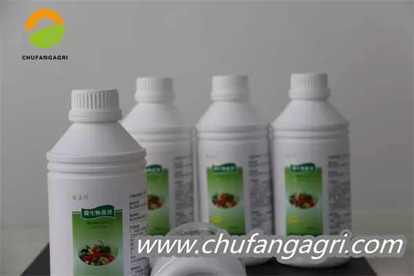Chufangagri Bacillus amyloliticus(BAA)