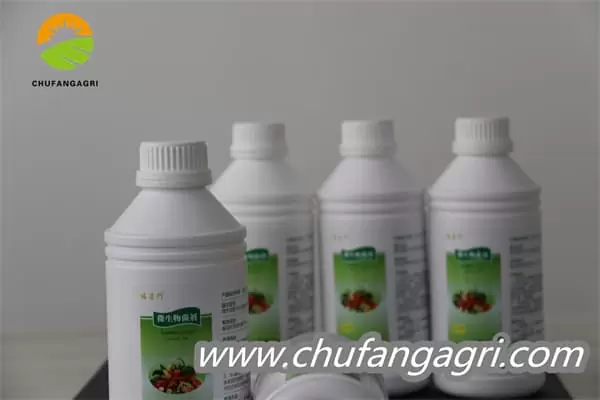 Chufangagri Bacillus amyloliticus(BAA)
