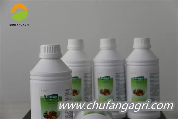 Chufangagri XMD Bacillus amyloliquefaciens (TKJ)