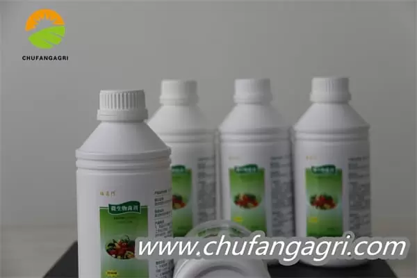 Chufangagri XMD Bacillus amyloliticus(BAA)