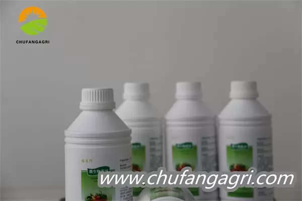 Chufangagri Bacillus amyloliticus