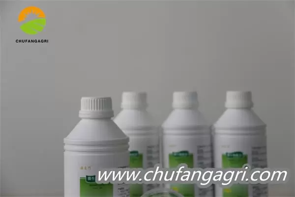 Chufangagri Bacillus amyloliticus(BAA)