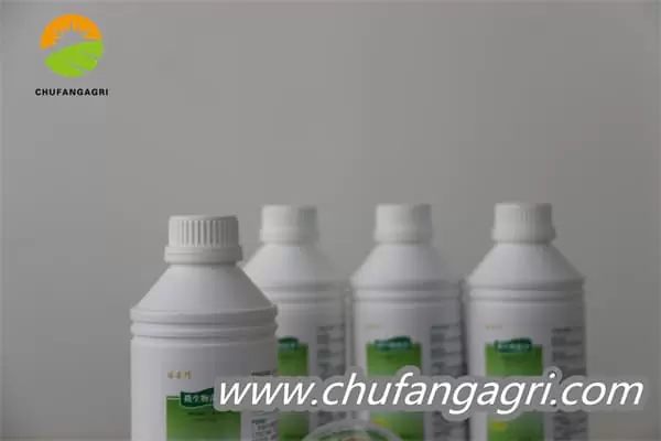 Chufangagri XMD Bacillus amyloliquefaciens (TKJ)