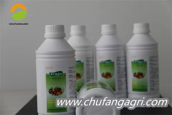 Chufangagri Bacillus amyloliquefaciens (TKJ)