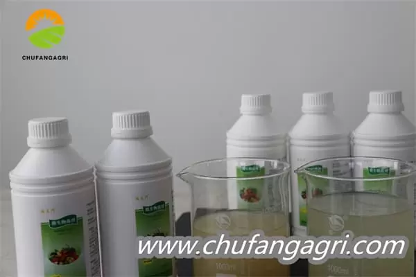 Bacillus amyloliquefaciens (TKJ)
