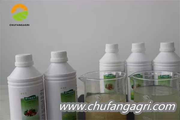 Bacillus amyloliticus(BAA)