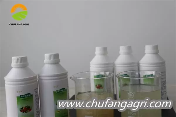 Bacillus amyloliquefaciens (TKJ)