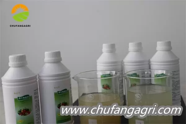 Chufangagri Bacillus amyloliquefaciens (TKJ)