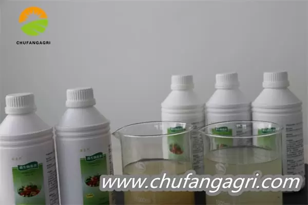 Chufangagri XMD Bacillus amyloliticus