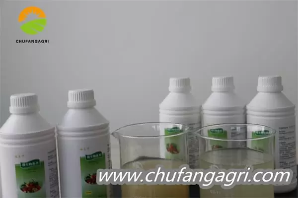Bacillus amyloliquefaciens (TKJ)