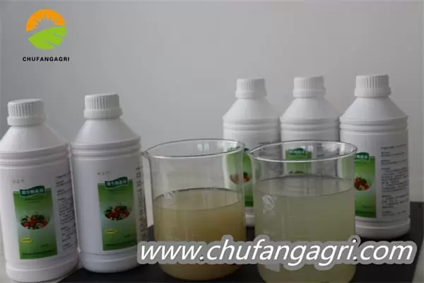 XMD Bacillus amyloliticus(TKJ)