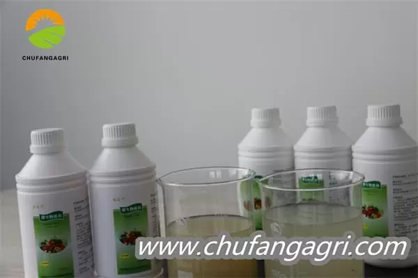 Chufangagri Bacillus amyloliticus(BAA)