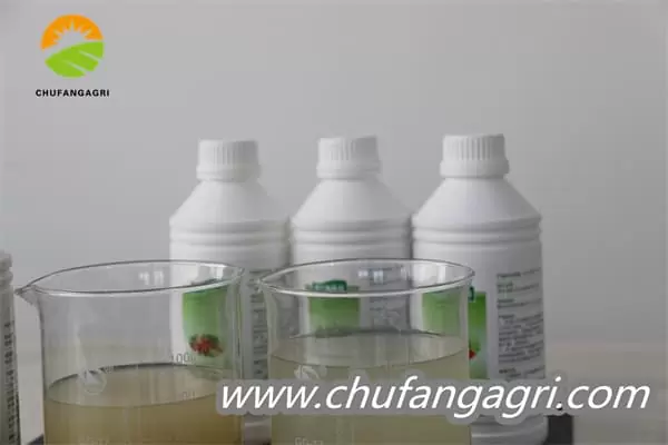 Bacillus amyloliquefaciens (TKJ)