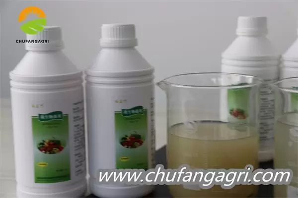 XMD Bacillus amyloliticus(BAA)