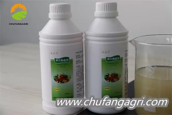 Chufangagri XMD Bacillus amyloliquefaciens (TKJ)