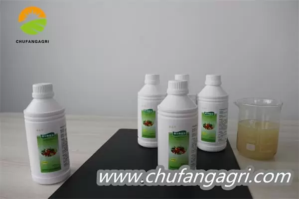 XMD Bacillus amyloliticus