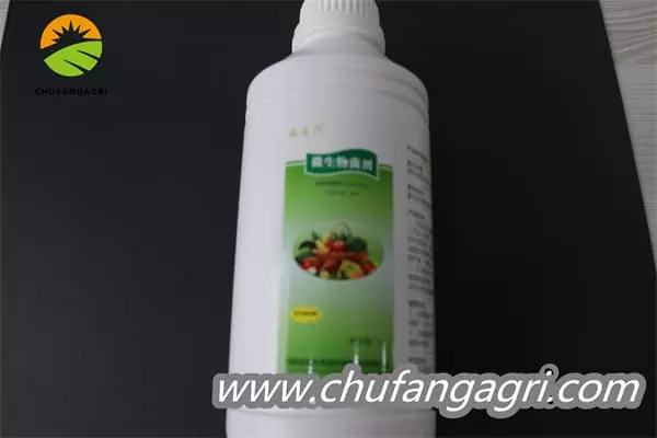 XMD Bacillus amyloliticus(TKJ)