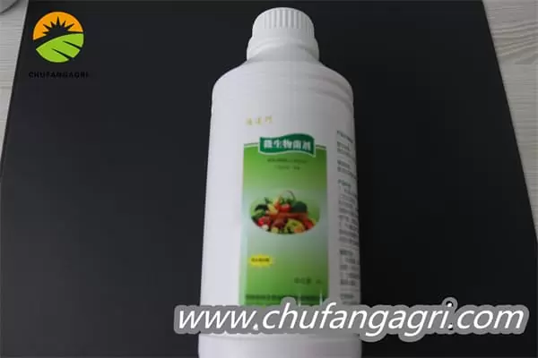 Bacillus amyloliticus(BAA)