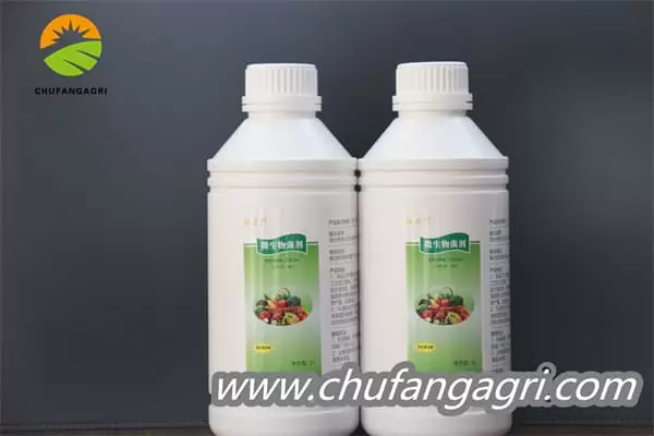 XMD Bacillus amyloliticus(TKJ)