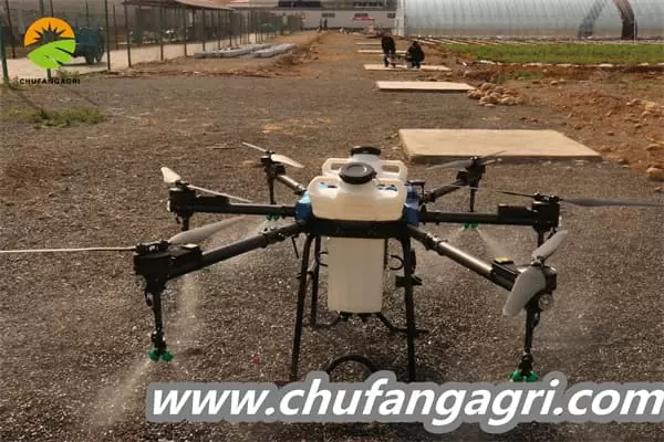 Dronechile