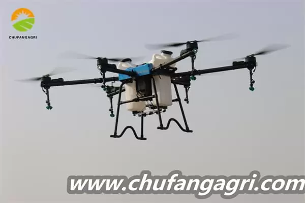 Dronechile