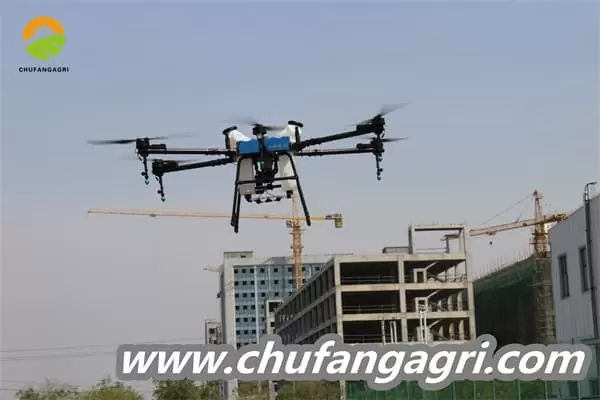 Dronechile