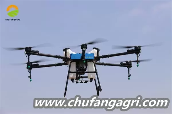 Dronechile