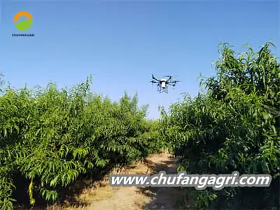 Pesticide sprayer drone in agriculture
